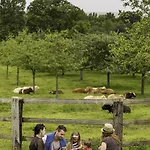 Domaine De La Tour Bed and breakfast 4*