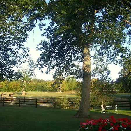 Domaine De La Tour Отель типа 