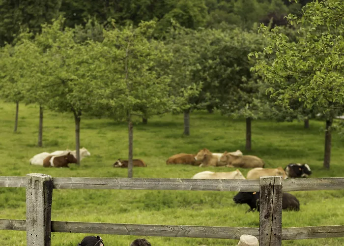 Domaine De La Tour Отель типа 